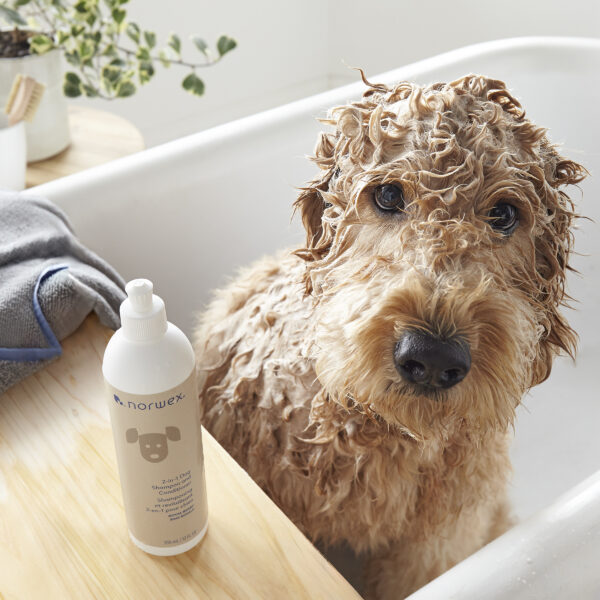 Norwex 2-in-1 Dog Shampoo and Conditioner, royal berry - with Pull Cap