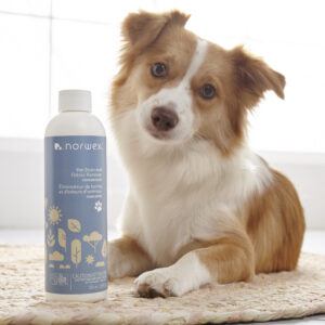 14b7e590dcdd99fe1127a9c06c6885f9e2f4240c.jpg Norwex Pet Stain & Odour Remover Concentrate