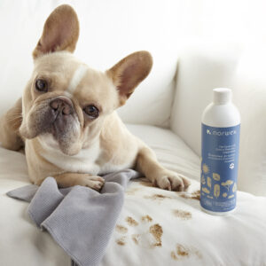 afa1056847ce191667d29fc64ec6ee33ebe40afb.jpg Norwex Pet Stain & Odour Remover Concentrate