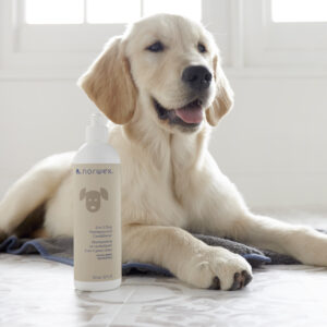 Norwex 2-in-1 Dog Shampoo and Conditioner, royal berry - with Pull Cap